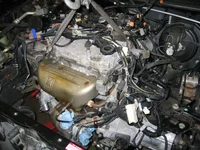 t 020.webp