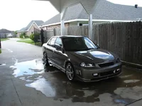 Picture 008.webp