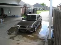 Picture 009.webp