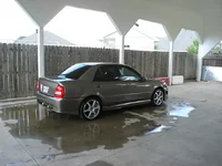 Picture 015.webp