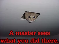 1115446812546.webp
