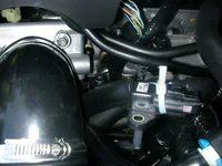 DSCN2943.webp