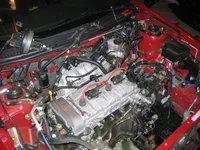 IMG_0863s.webp