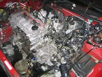 IMG_0864s.webp
