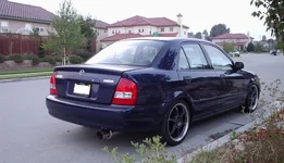 P1050530.webp