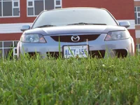 photo23.webp