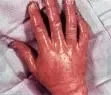 hand.webp