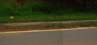 curb 02.webp