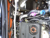 S4010059.webp