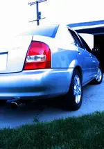 nomoldingtail.webp