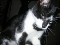 DSCN3485.webp