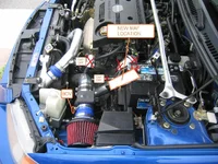 MAF loc.webp