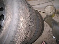 100_0056.webp
