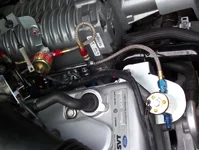 100_0224.webp