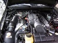 100_0222.webp