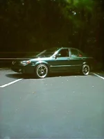 OR52 Sunlight 1.webp