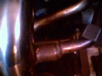 egr1.webp