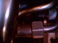 egr3.webp