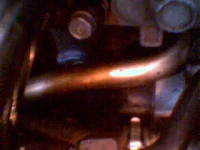 egr6.webp