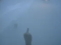 DSCF0053.webp