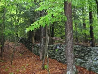 Field looking west.webp
