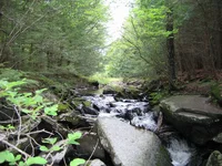 South end of the brook 2.webp