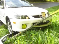 DSC00590.webp