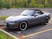 P5170591_c copy.webp