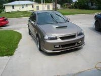 shane.webp