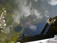 DSC01086.webp