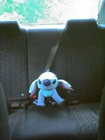 stitch.webp