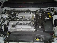 DSC00477.webp