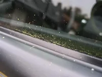 IMG_7531 (Small).webp