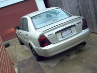 Picture 024.webp