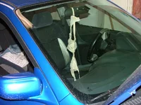 DSCF1213.webp