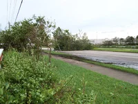 Digital photos 173.webp