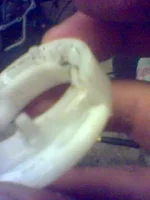 Picture(14).webp