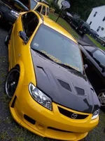 sicksho2.webp