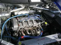 15.webp