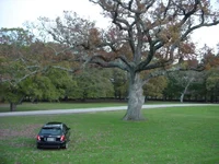 DSC00713.webp
