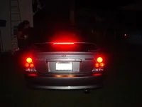 tailsnight.webp