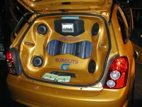 gold p5 trunk.webp