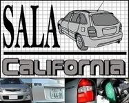 sala sig pics.webp
