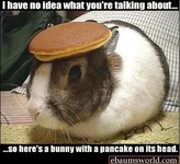 pankcake.webp