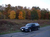 autumn2.webp