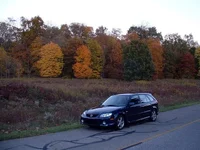 autumn.webp