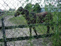 DSCN0159.webp