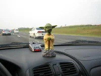 Traveling companion.webp