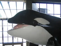 Aquarium of the Pacific 2.webp