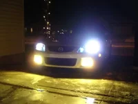 DSC01692.webp
